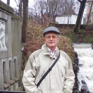 Vladimir Bor, 68 лет, Калининград