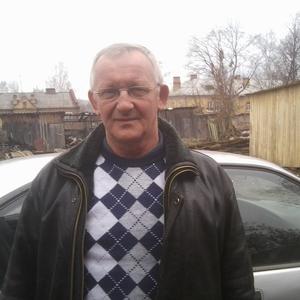 Владимир, 65 лет, Боровичи