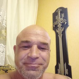Роман, 47 лет, Вологда