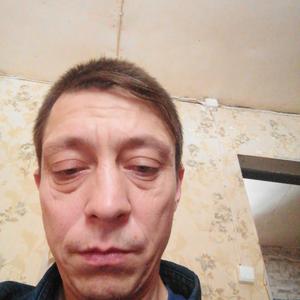 Анвар, 42 года, Великий Новгород