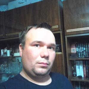 Максим, 37 лет, Губкин