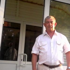 Алексей Шекунов, 68 лет, Усть-Катав