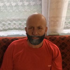 Василий, 39 лет, Кировск
