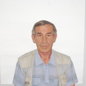 Петр, 74 года, Щучье