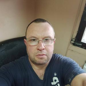 Сергей, 52 года, Колпино