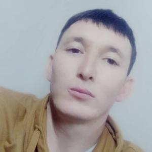 Ербол, 31 год, Кызылорда