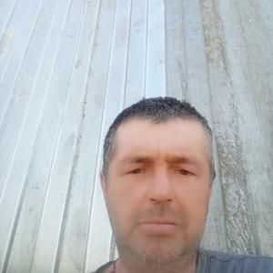 Дмитрий, 47 лет, Курагино