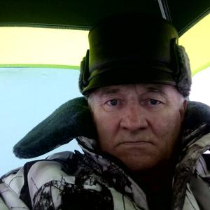 Александр, 69 лет, Челябинск