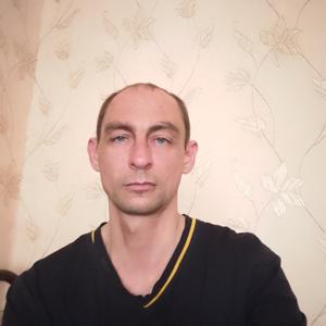 Александр, 40 лет, Тула