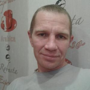 Владимир, 45 лет, Димитровград