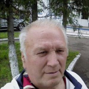 Сергей, 74 года, Павлоградка
