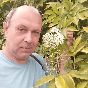 Вячеслав, 52 года, Домодедово