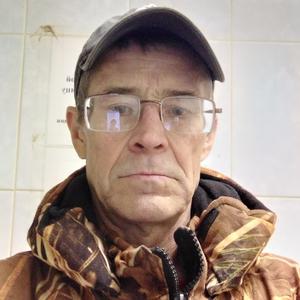Николай, 60 лет, Курск