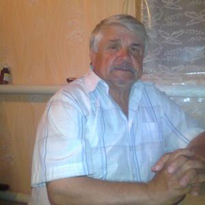 Александр, 75 лет, Краснодар