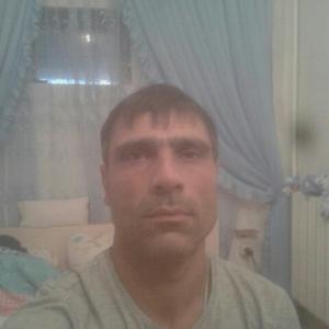 Эльман, 38 лет, Серпухов