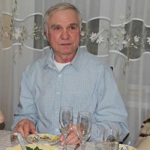 Anatolij Burtsev, 70 лет, Ижевск