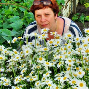 Светлана, 58 лет, Ачинск