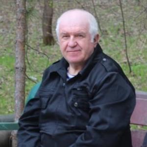 Юрий, 68 лет, Владимир