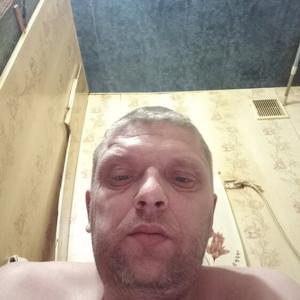 Лев, 39 лет, Новосибирск