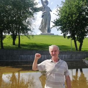 Игорь, 64 года, Тула