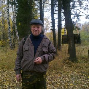 Парни в Гаврилов-Ям: Алексей, 72 - ищет девушку из Гаврилов-Ям