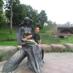 Александр Гайдукевич, 38 лет, Сморгонь