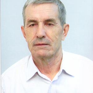 Юрий, 69 лет, Тольятти