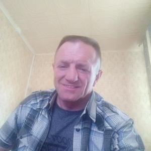 Александр Абашкин, 61 год, Абрамцево