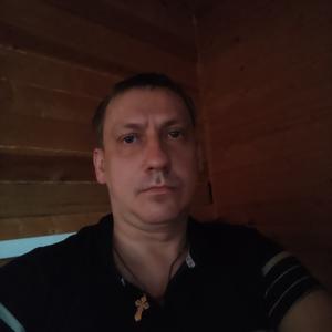 Павел, 46 лет, Никольское