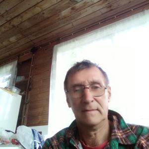 Андрей Пассонен, 63 года, Приморск