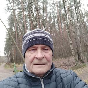 Парни в Санкт-Петербурге: Николай, 69 - ищет девушку из Санкт-Петербурга