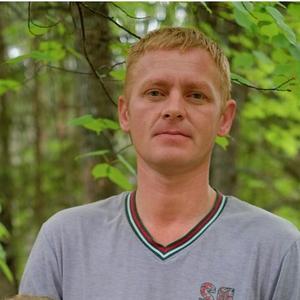 Алексей, 44 года, Струнино