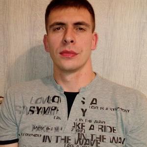 Сергей, 37 лет, Шуя
