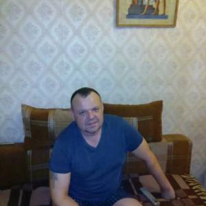 Алексей, 47 лет, Дмитров