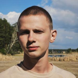 Дима, 19 лет, Бердск