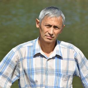 Булат Хамидуллин, 66 лет, Сургут