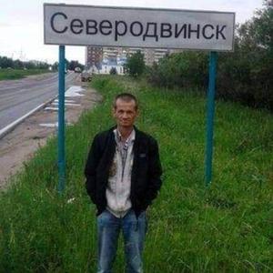 Андрей, 52 года, Владимир