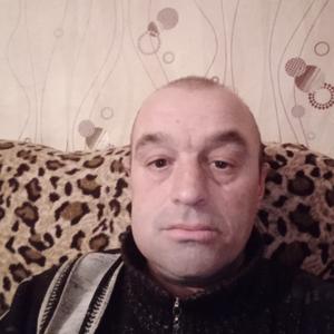 Вячеслав Губеня, 39 лет, Санкт-Петербург