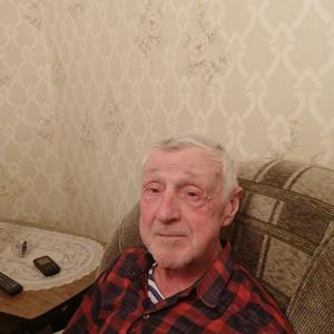 Николай, 80 лет, Тихвин