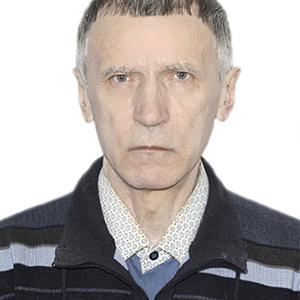 Геннадий, 71 год, Петрозаводск