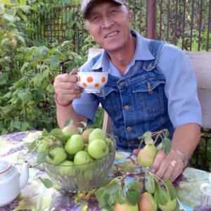 Владимир, 76 лет, Орел
