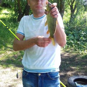 Парни в Нововоронеже: Роман, 39 - ищет девушку из Нововоронежа