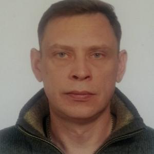 Денис, 45 лет, Покров