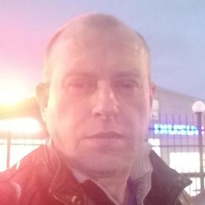 Парни в Североморске: Игорь, 52 - ищет девушку из Североморска