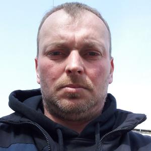 Владимир, 43 года, Калининград
