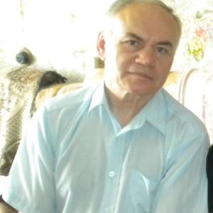 Михаил Александрович Голдобин, 72 года, Пермь