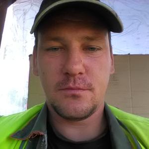 Алексей, 41 год, Светогорск