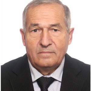 Павел, 74 года, Архангельск