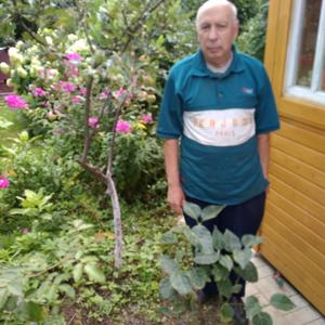 Николай, 64 года, Тула