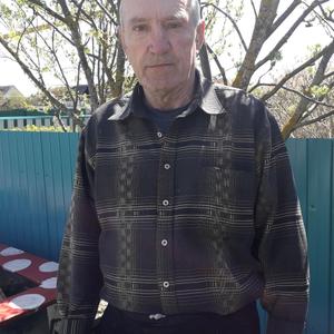 Сергей, 63 года, Пенза